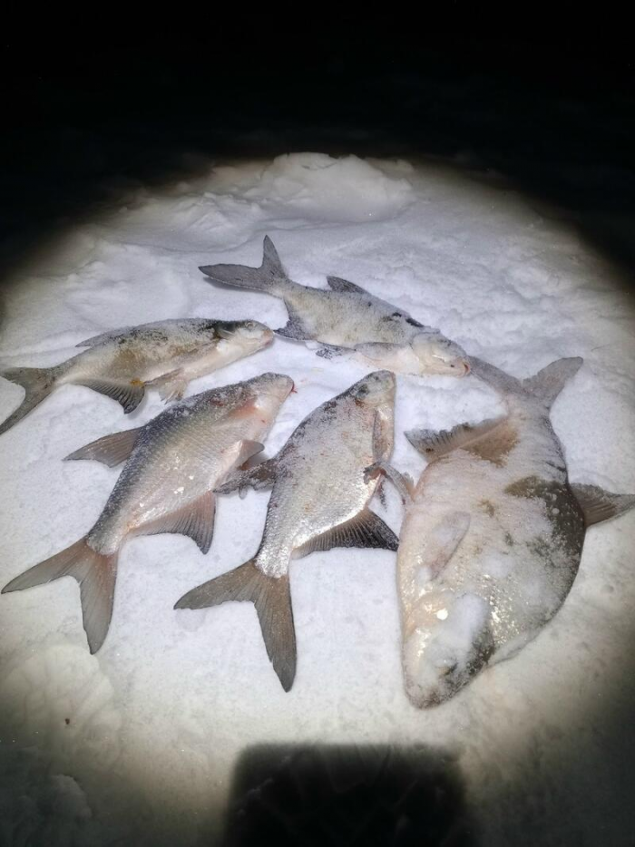 Рыбаки Алтайского края показали солидные последние уловы марта