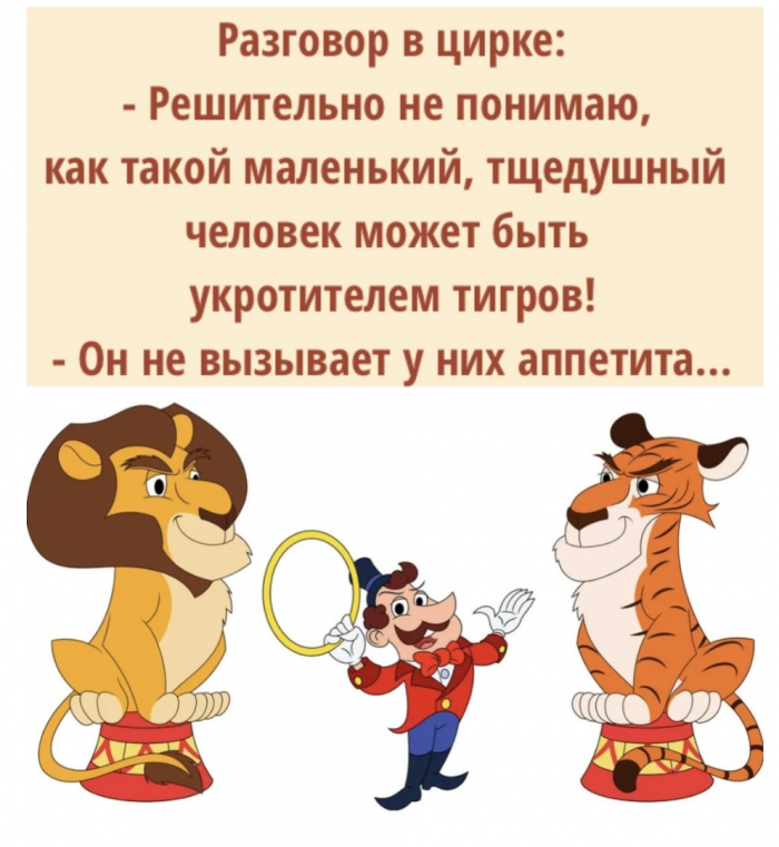 Шутки, юмор, смешные истории для позитива (наш любимый пирог «весенний» с большим количеством зелени)