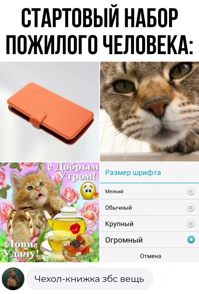 Колкие комментарии, которые как острый соус приправляют сам пост