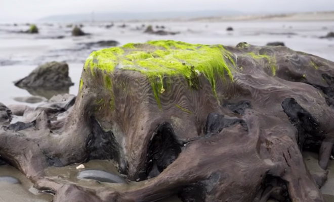 Шторма открыли прошлое Земли: следы мира древности