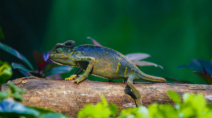 10 признаков умного человека по мнению психологов