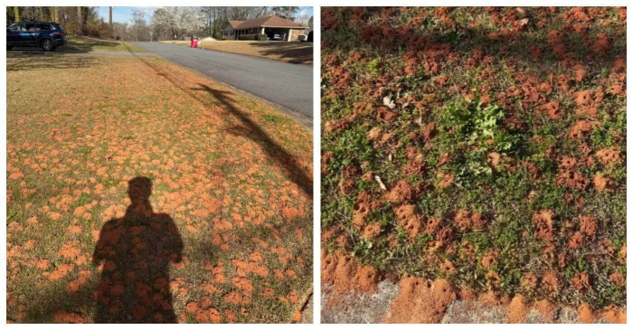 15 странных вещей, которые бы не разгадали без онлайн-Шерлоков