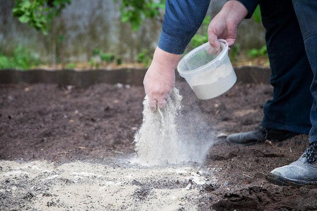 Кислотность почвы: что это такое, как ее определить и регулировать