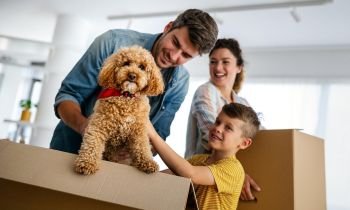 Топ-10 пород собак для семей, в которых есть дети