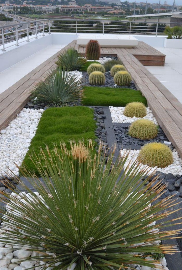 Неприхотливые декоративные кустарники в ландшафтном дизайне: фото и описания (56 фото)