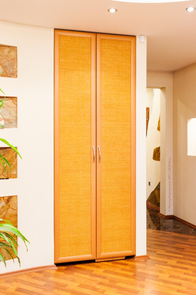 Двери в нишу: виды и особенности (24 фото)