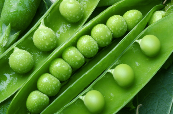 Полное руководство по приготовлению 10 видов овощей