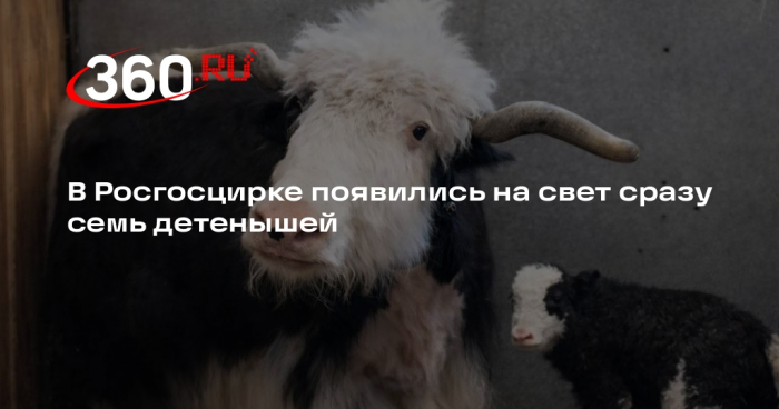 В Росгосцирке появились на свет сразу семь детенышей