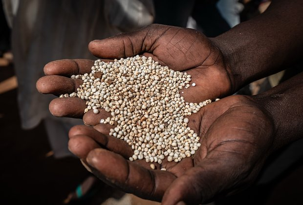 Миру предсказали ужасающий продовольственный кризис из-за конфликта США и Ирана. Избежит ли человечество глобального голода?