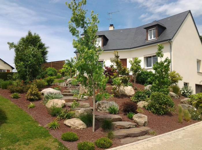 Неприхотливые декоративные кустарники в ландшафтном дизайне: фото и описания (56 фото)