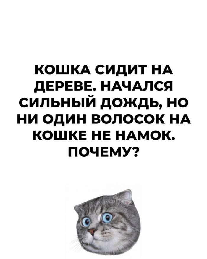 Как развить нестандартное мышление: 15 загадок на логику