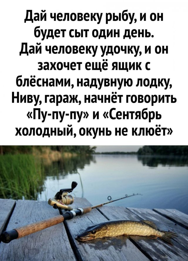 Надо говорить не «алкаш(-ка)», а «особь нетрадиционной трезвости» (картинки на вечер)