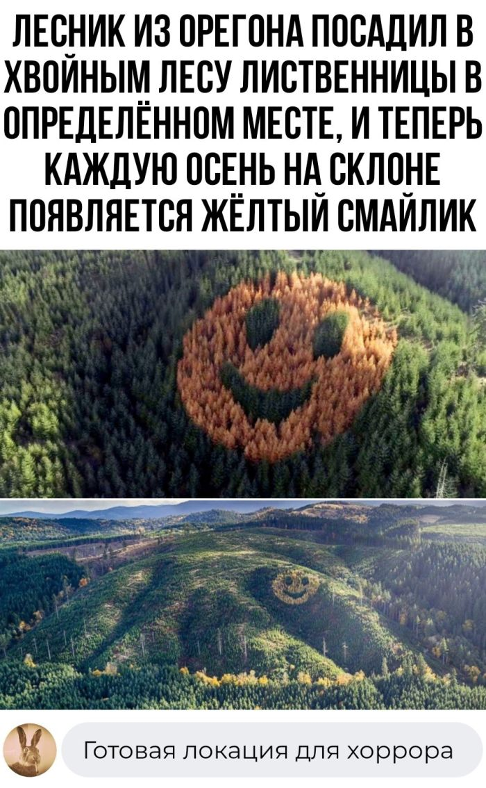 Колкие комментарии, которые как острый соус приправляют сам пост