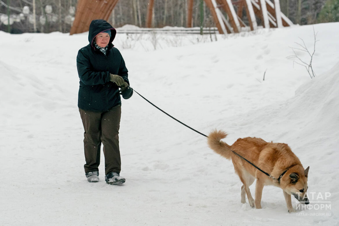 Без регистрации – штраф: как в Казани инспекторы ветслужбы проверили собак на чипы