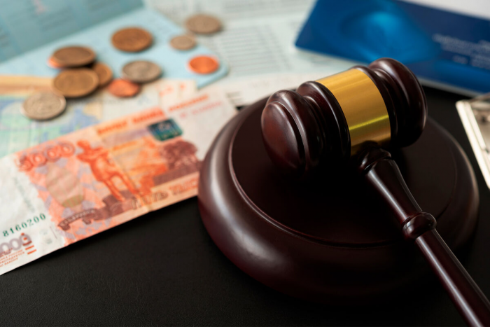 ЛДПР предлагает платить алименты должников за счет государства