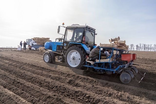 АПК Кубани. Что день грядущий нам готовит?