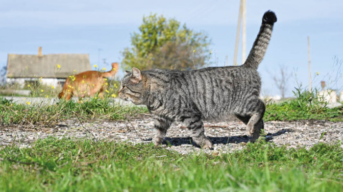Погода 11 марта: ночью до -1, днём до +16