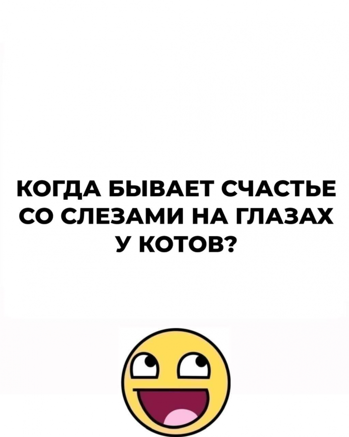 Не дай мозгу обмануть тебя: 15 загадок на логику