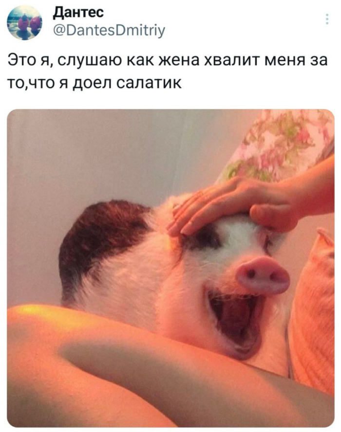 Свежие мемы, юмор за день