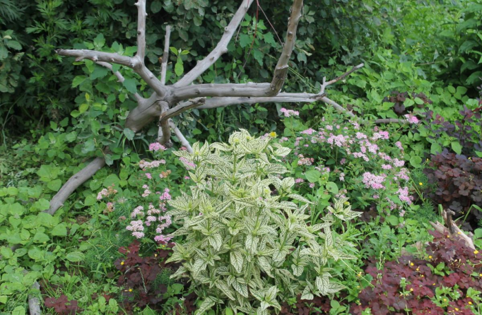 Идеи для сада: простые и оригинальные варианты (65 фото)