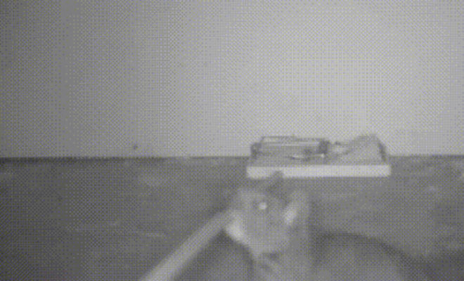 Камеру установили рядом с мышеловкой и стали наблюдать. Ночью пришла крыса и стала палкой вытаскивать сыр: видео