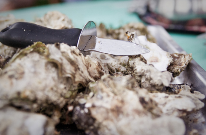 Вся правда об устрицах