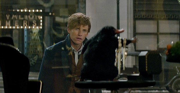 В каком порядке читать книги о Гарри Поттере? Все об основной серии и дополнениях