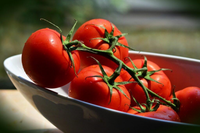 Не высота, а толщина: секрет идеальной рассады томатов