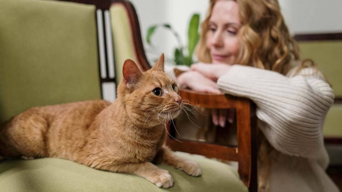 Люди, которые любят кошек, обладают этими особыми чертами характера