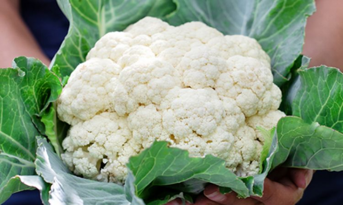 7 продуктов, которые обязательно надо есть осенью