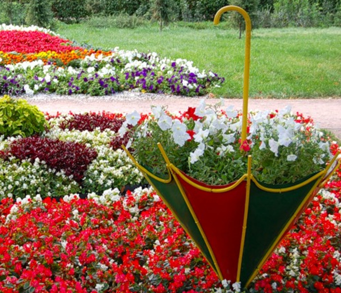 Клумба для дачи: как своими руками создать цветочный оазис (60 фото)