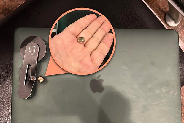 «Главное — не количество лап, а сила духа» Самые добрые и трогательные истории 2025 года, заставляющие поверить в чудо