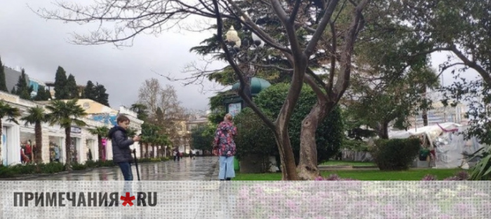 Ялта готовится к новому цветочному сезону: «Зеленстрой» закупает рассаду на сумму почти 4,75 млн рублей