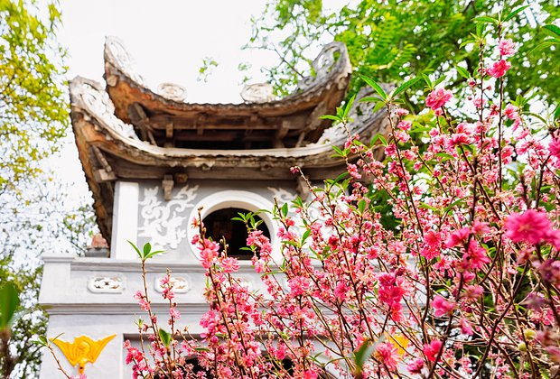 Куда поехать отдыхать весной 2026 года: топ-12 направлений по России и за границей