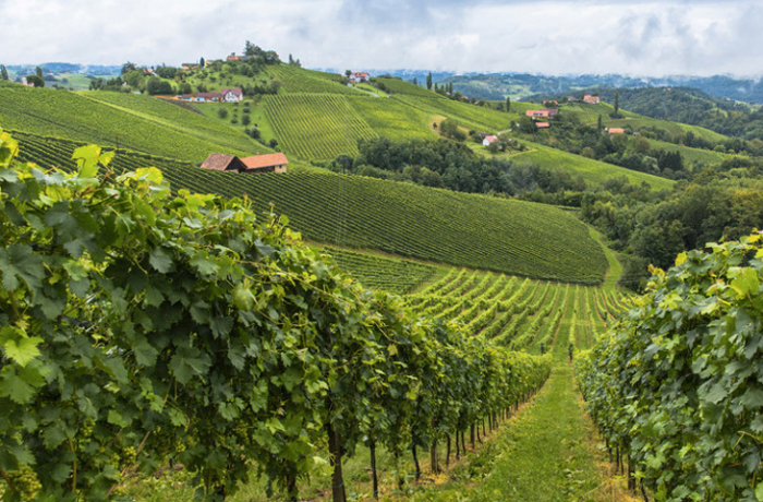 5 неизвестных винных регионов, которые должен посетить каждый