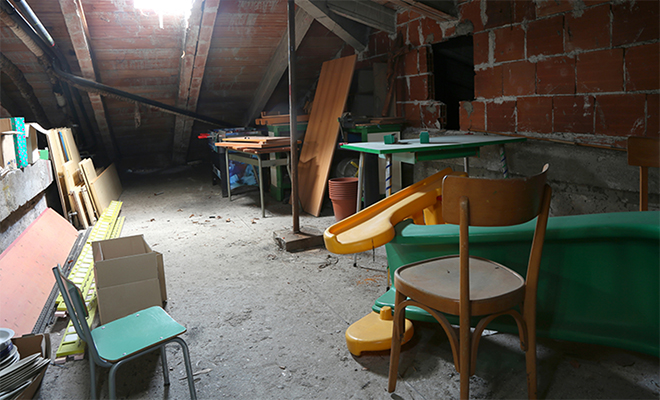 У семьи пропала черепаха и случайно нашлась через 30 лет. Все это время она незаметно жила на чердаке