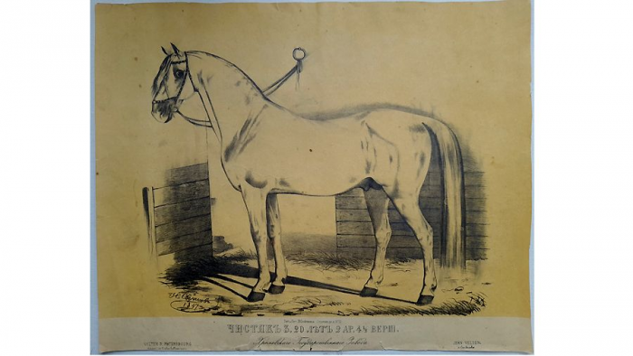 «То был красавец меж коней»: Музей Тропинина открыл иппическую выставку