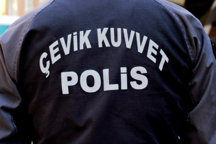 Турция выдала России основательницу крупнейшей финансовой пирамиды