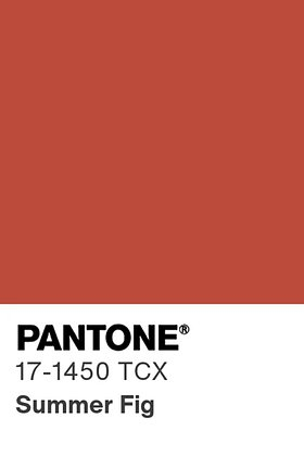 Цвет 2026 года по версии Pantone: какие цвета будут в тренде и как их носить?