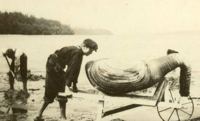 10 существ живущих гораздо дольше человека