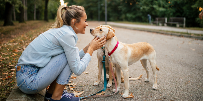Догситтеры: как выбрать пёсью няню и не пожалеть