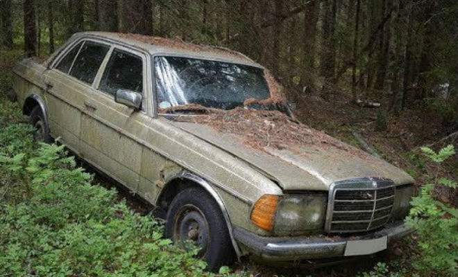 Угнанные авто из 90-х: поисковики нашли стоянку в глухом лесу