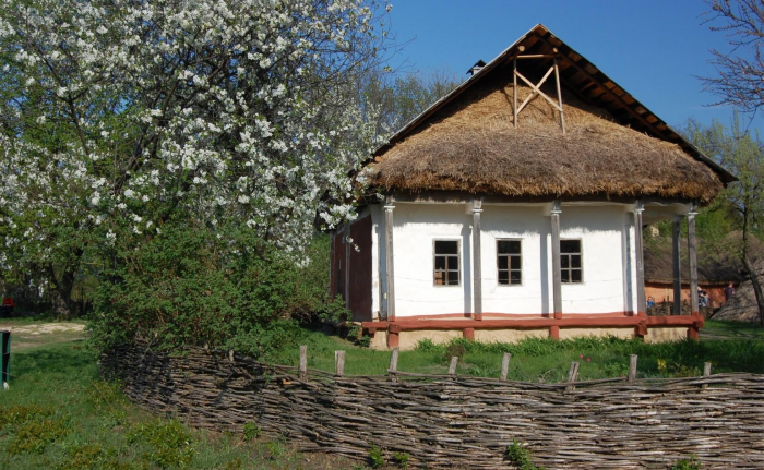 Идеи для сада: простые и оригинальные варианты (65 фото)