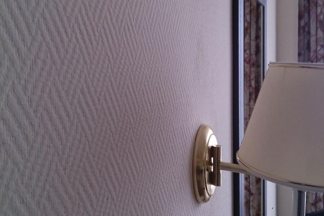 Чем отделать стены в коридоре, если в доме кошки или собаки (38 фото)