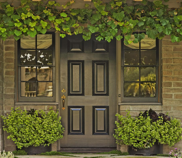 Выбираем идеальную входную дверь для домашнего интерьера (22 фото)