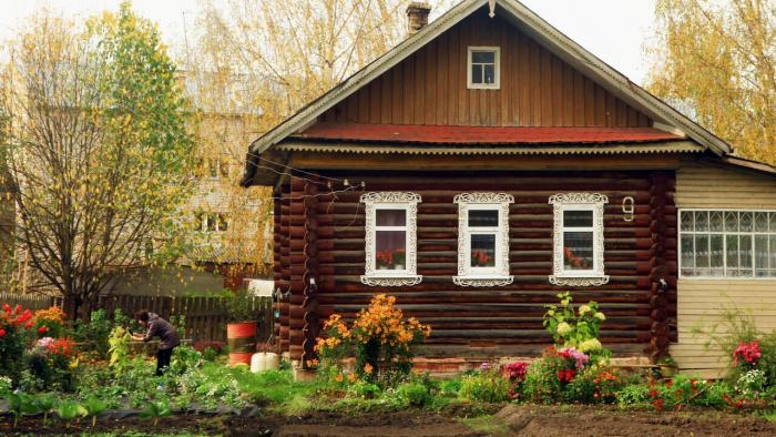 Забудьте о прополке: растения, которые сами вытесняют сорняки