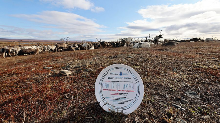 Владимир Головнев, режиссер фильма «Цинга»: «Тундра совсем по-другому дышит на большом экране»