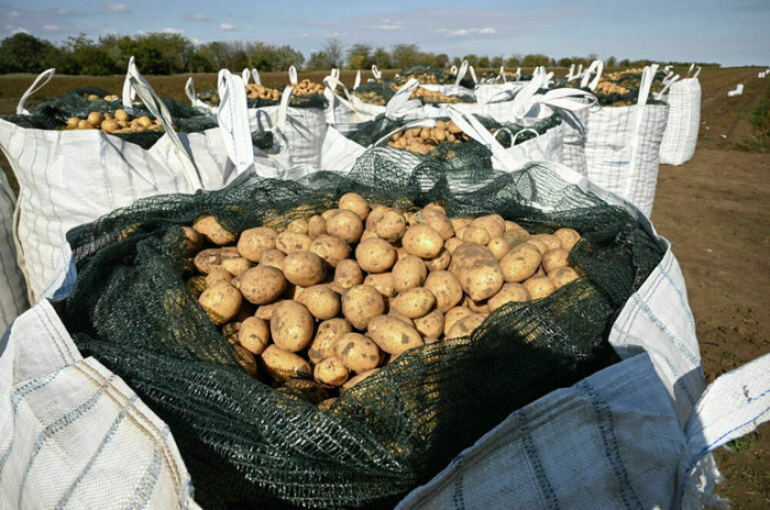 Фермерам хотят разрешить сбор урожая в нацпарках