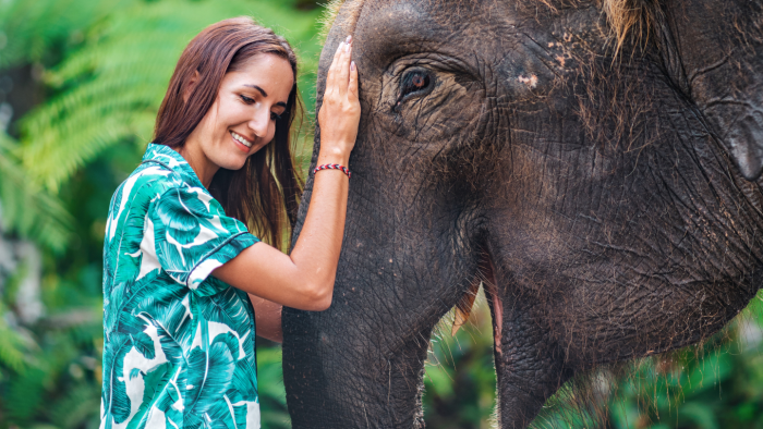 Почему иногда кажется, что животные нас понимают