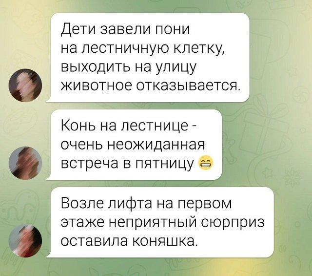 «Кто оставил картошку в лифте?»: весёлые смс-переписки жильцов